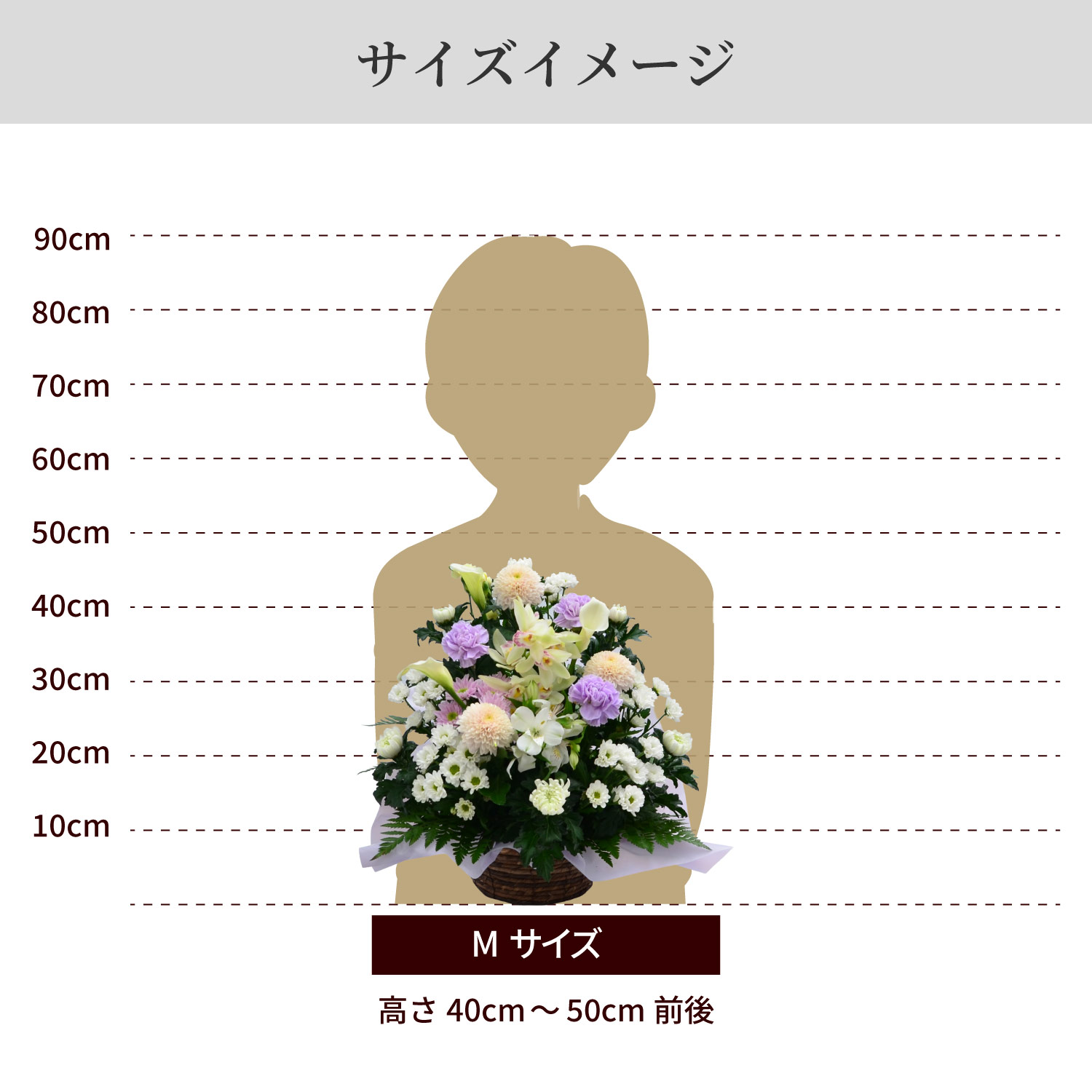 サイズイメージ