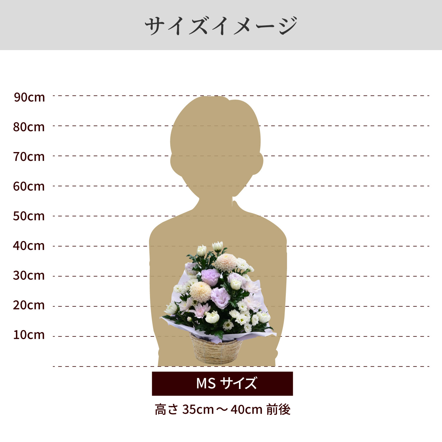 サイズイメージ