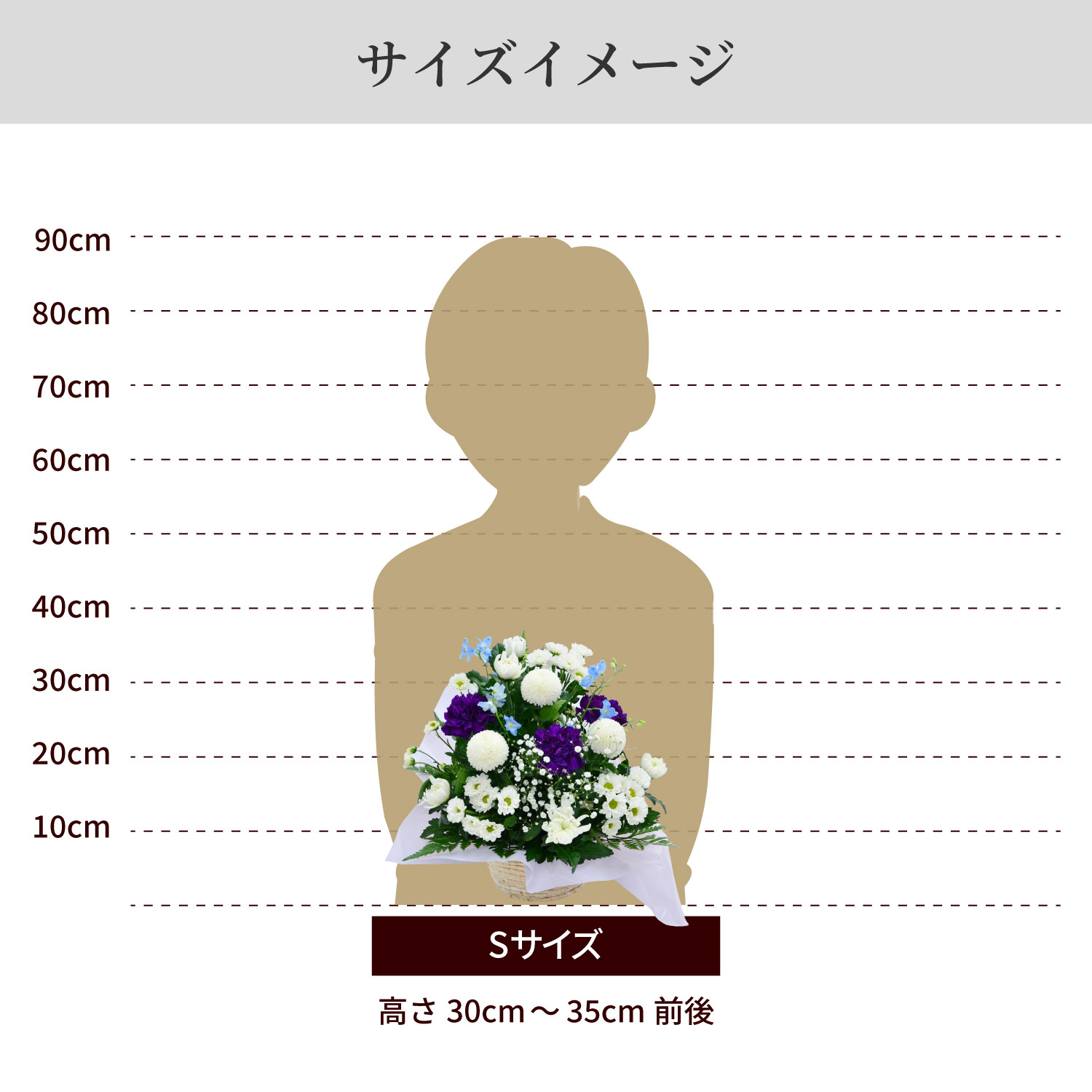 サイズイメージ