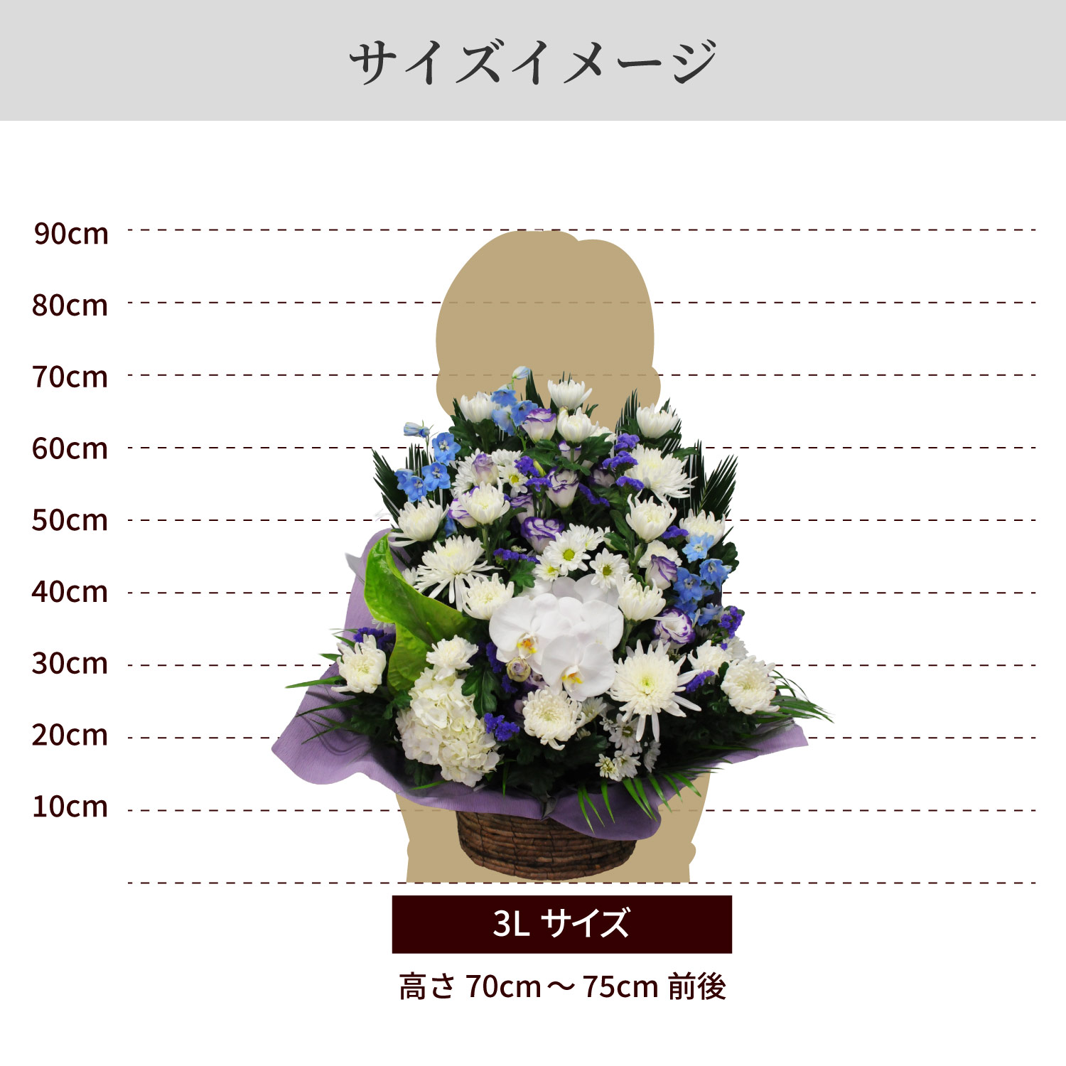 サイズイメージ