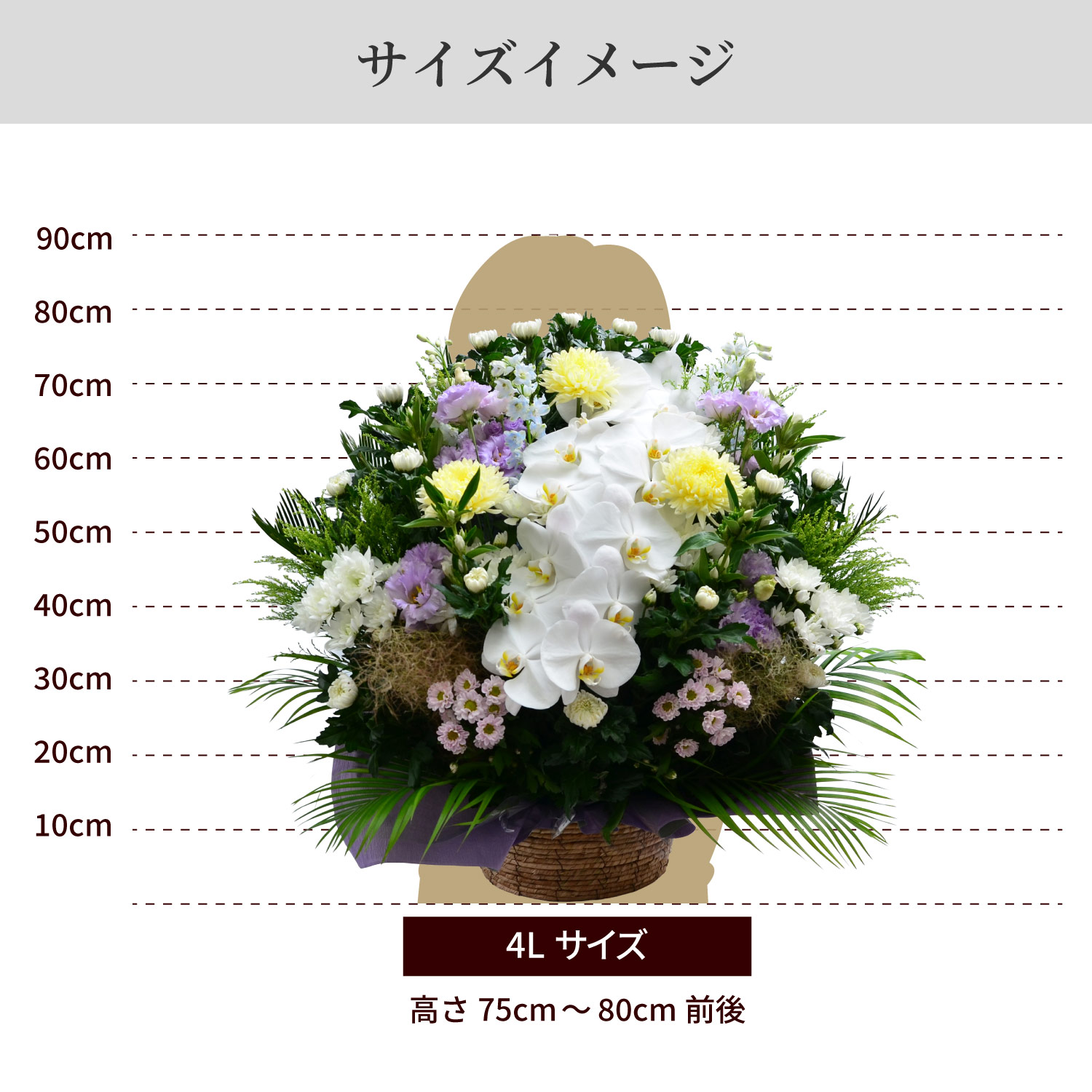 サイズイメージ