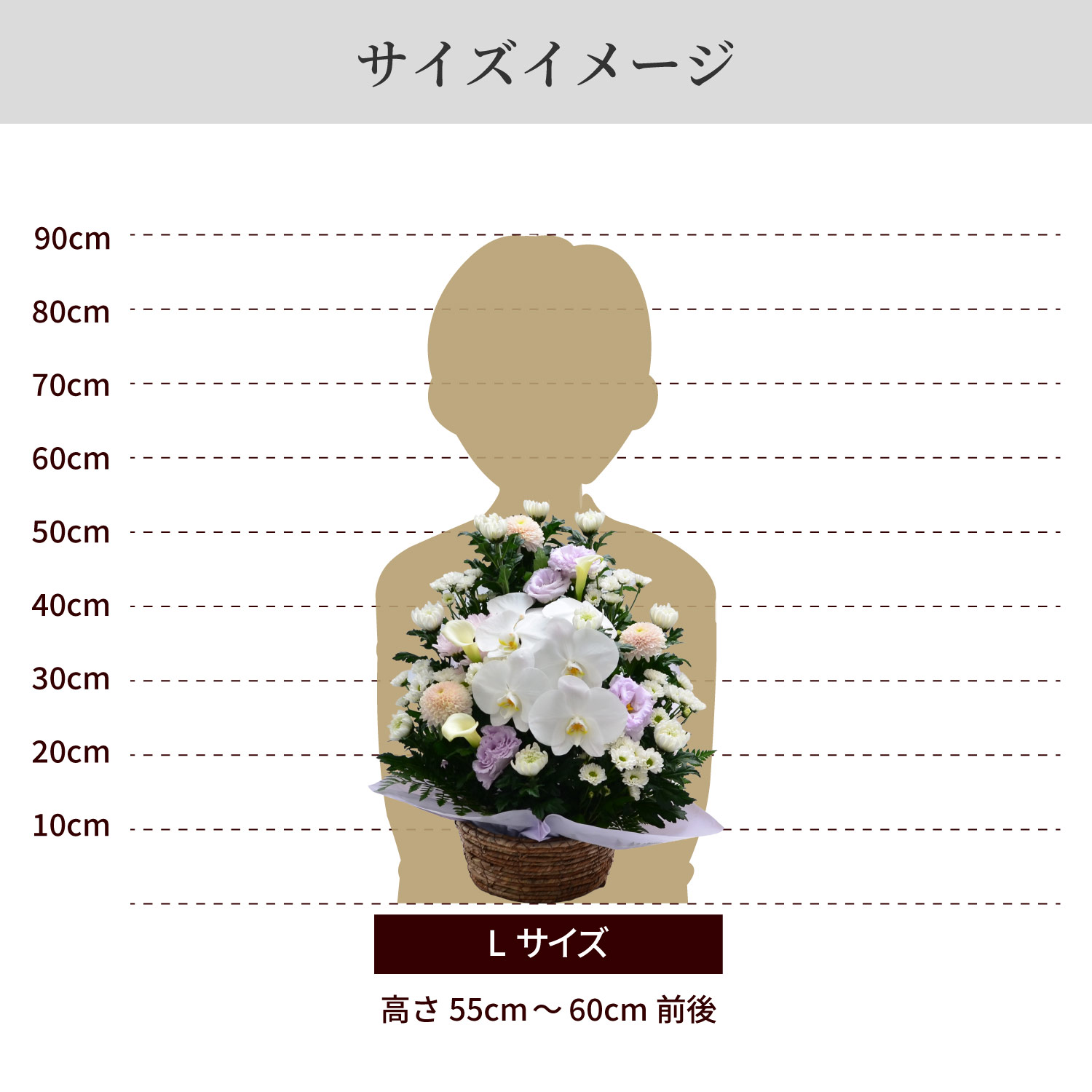 サイズイメージ