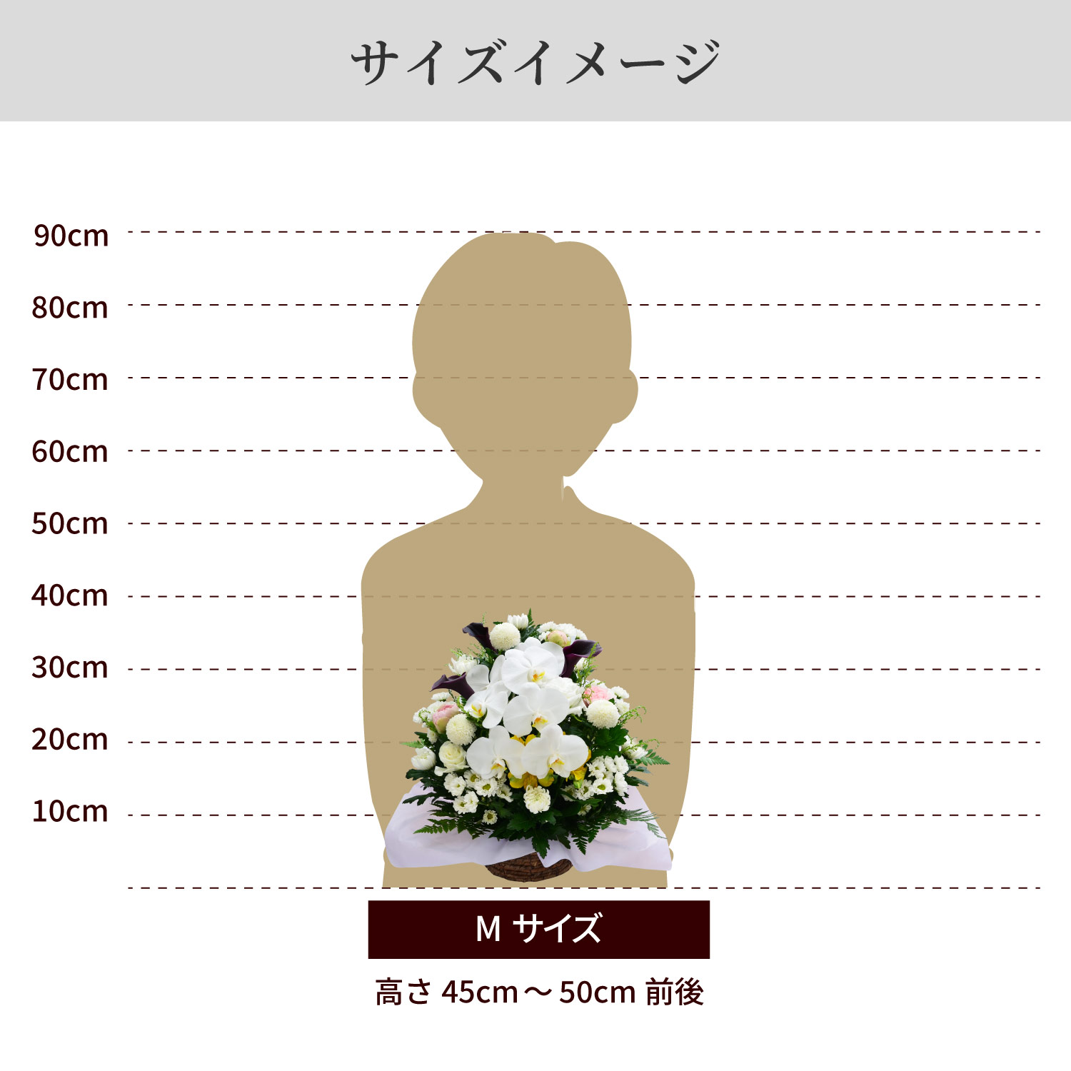 サイズイメージ