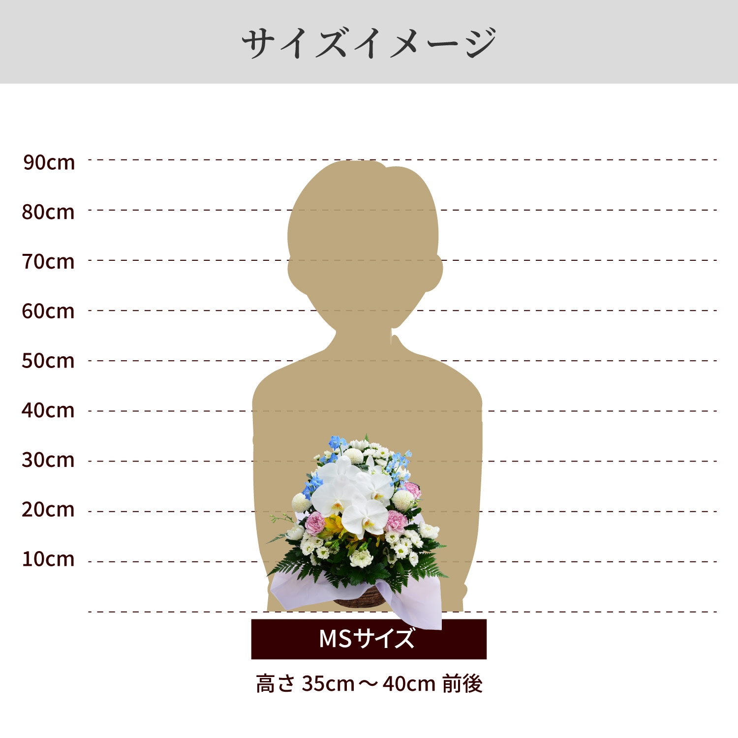 サイズイメージ