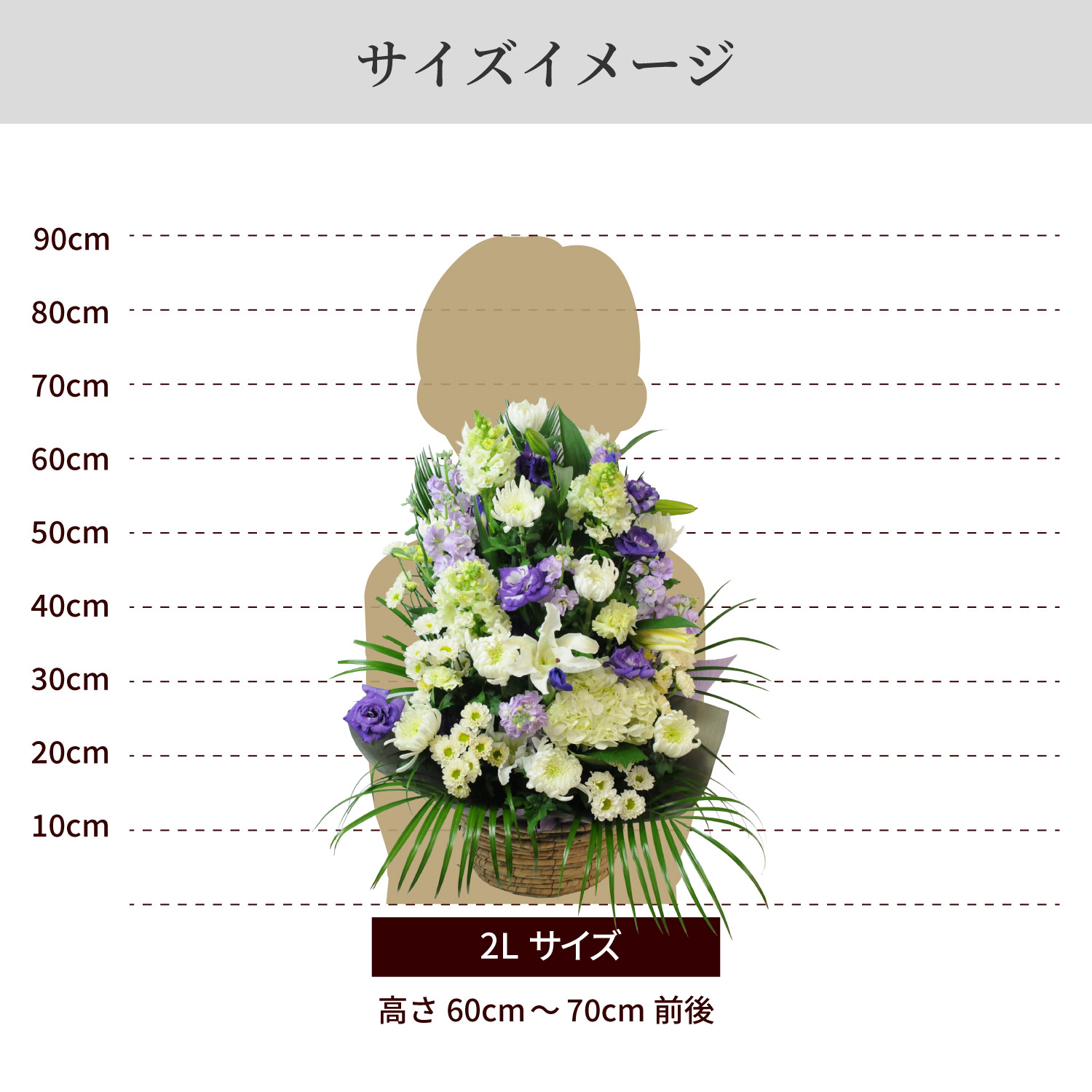 サイズイメージ