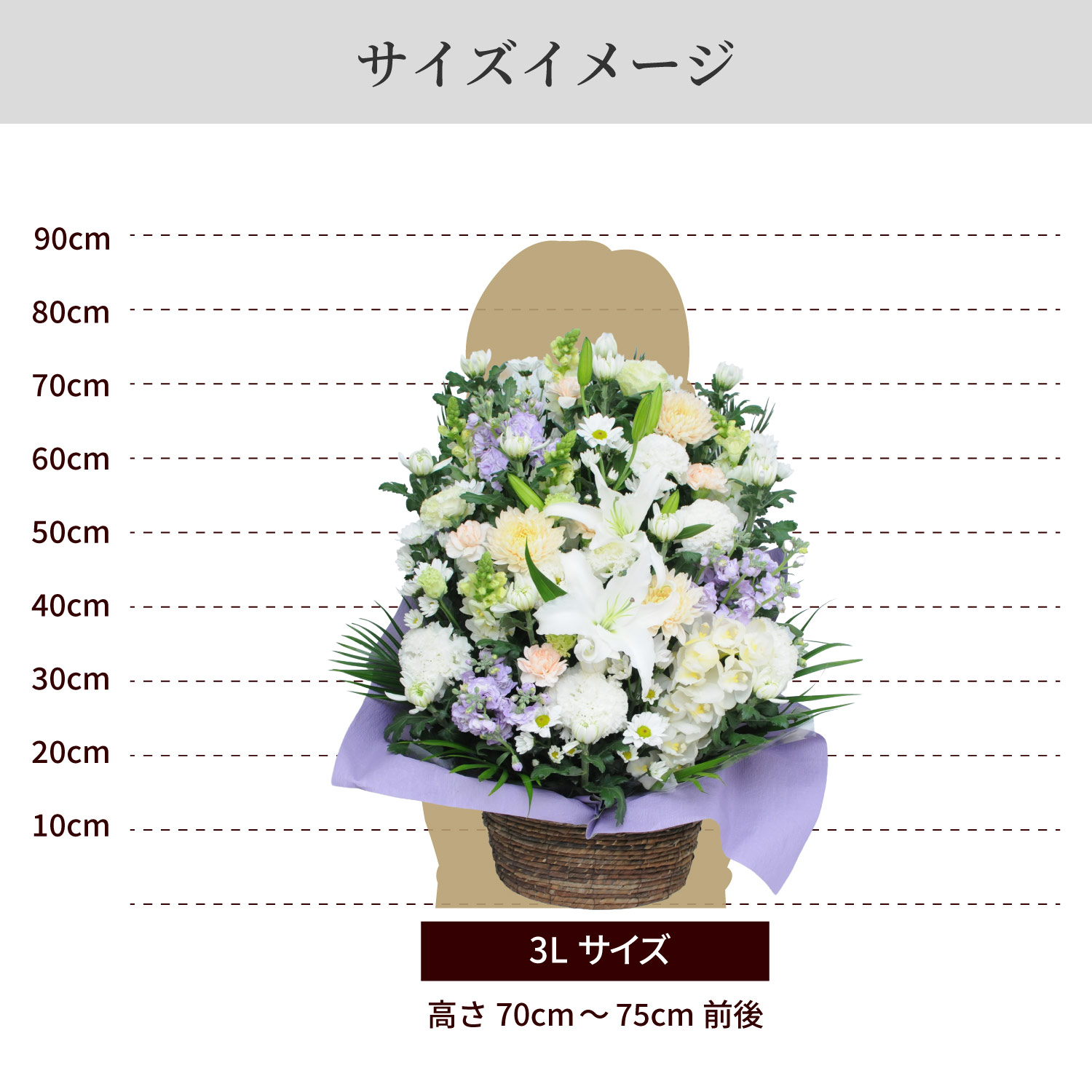 サイズイメージ