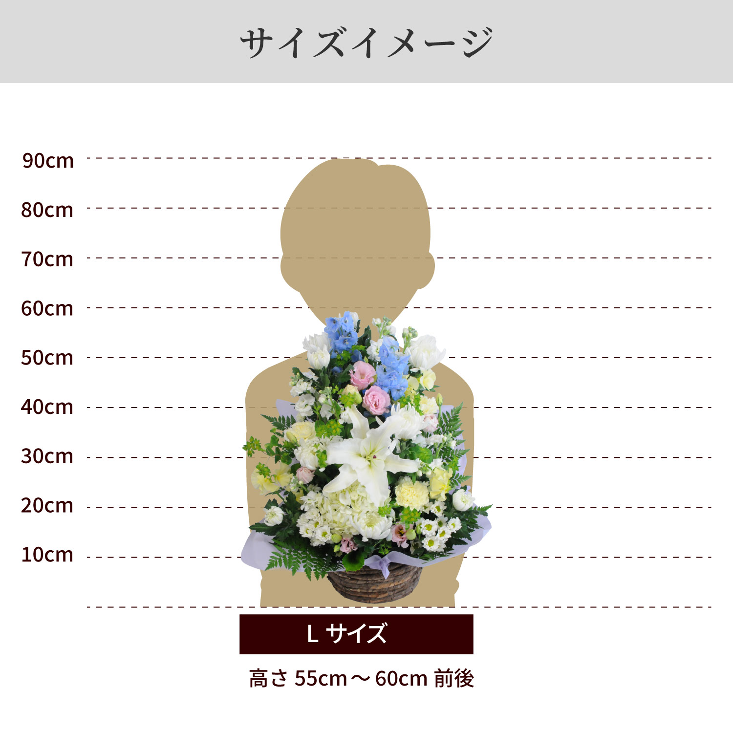 サイズイメージ
