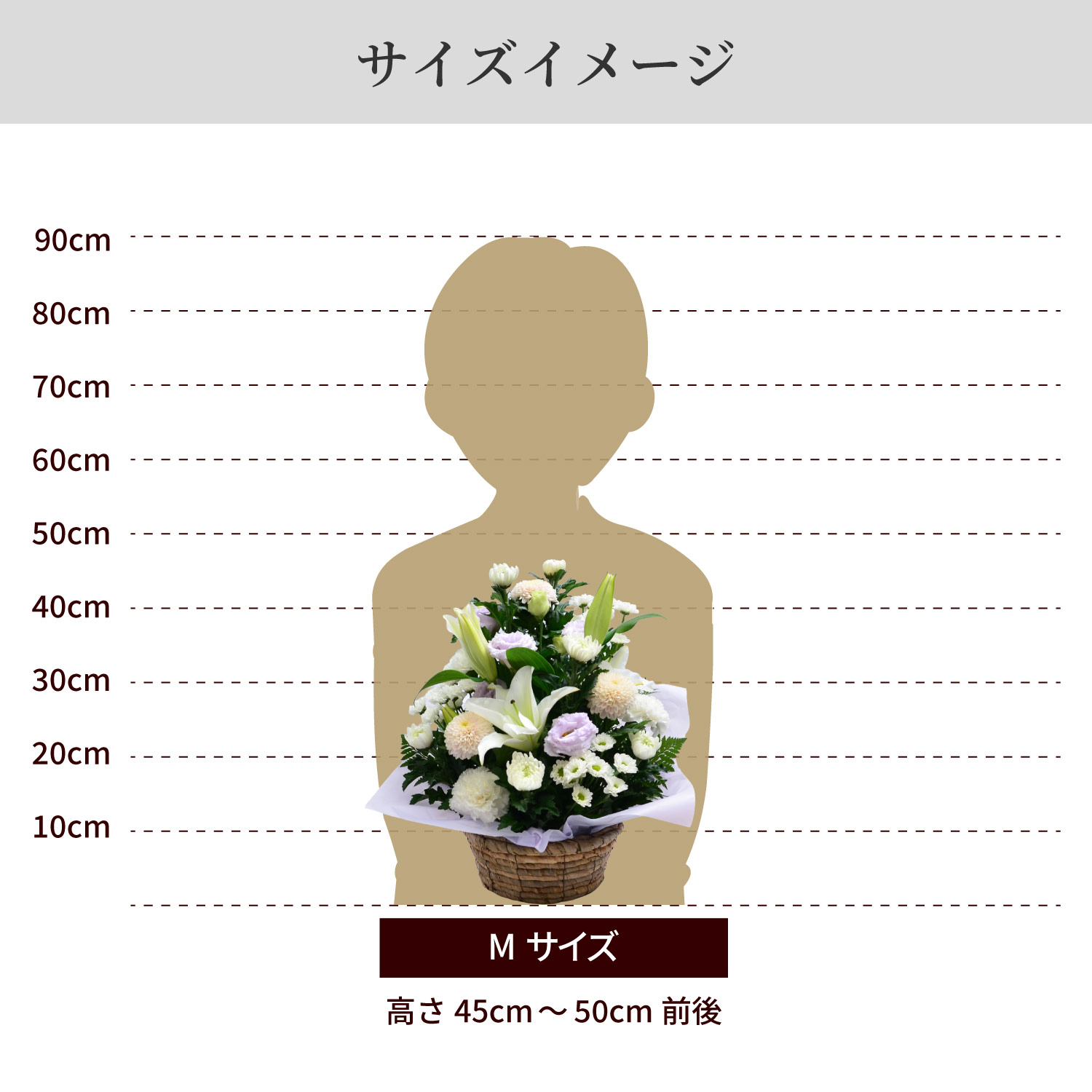 サイズイメージ