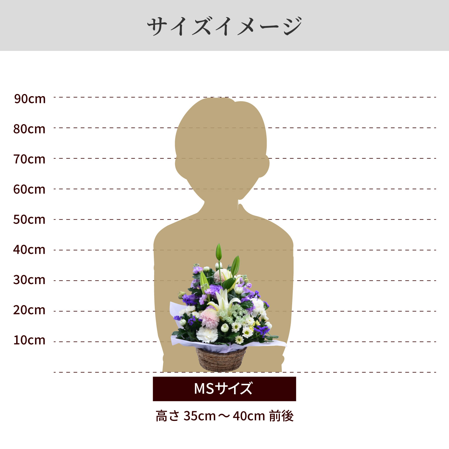 サイズイメージ