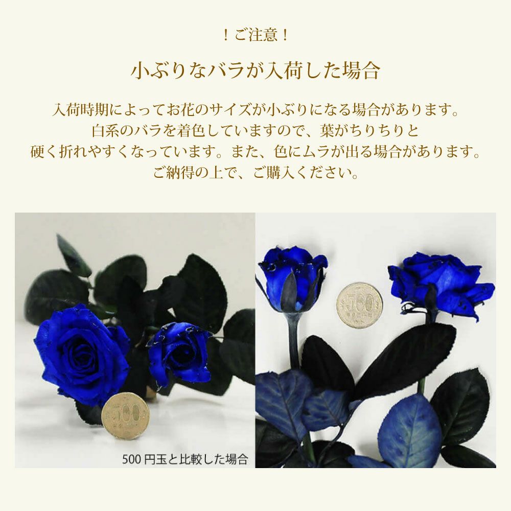 青バラ100本の花束