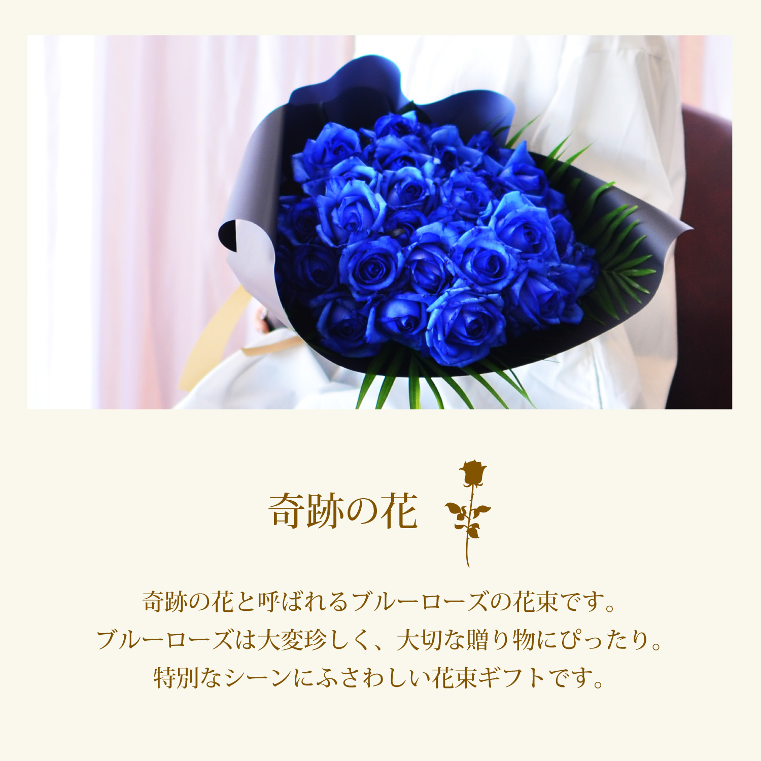 青バラ30本の花束
