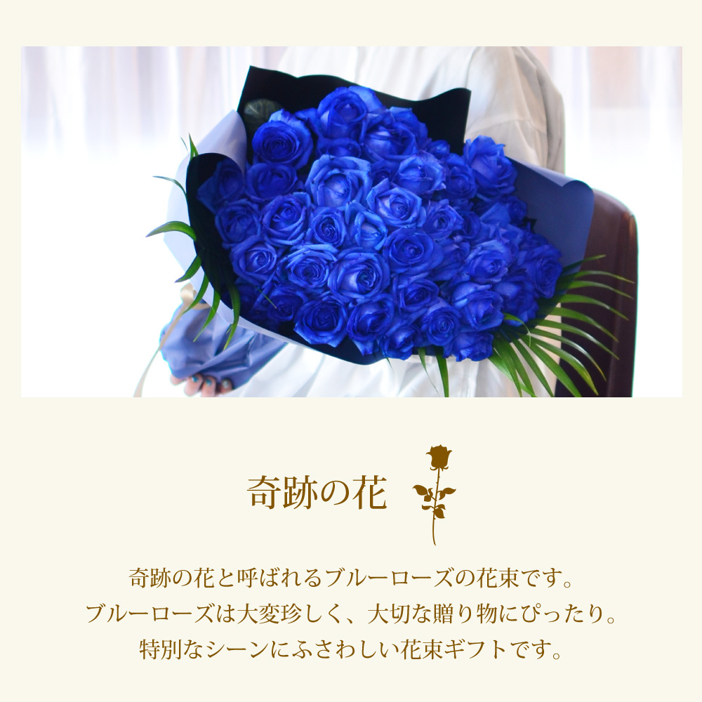 青バラ40本の花束