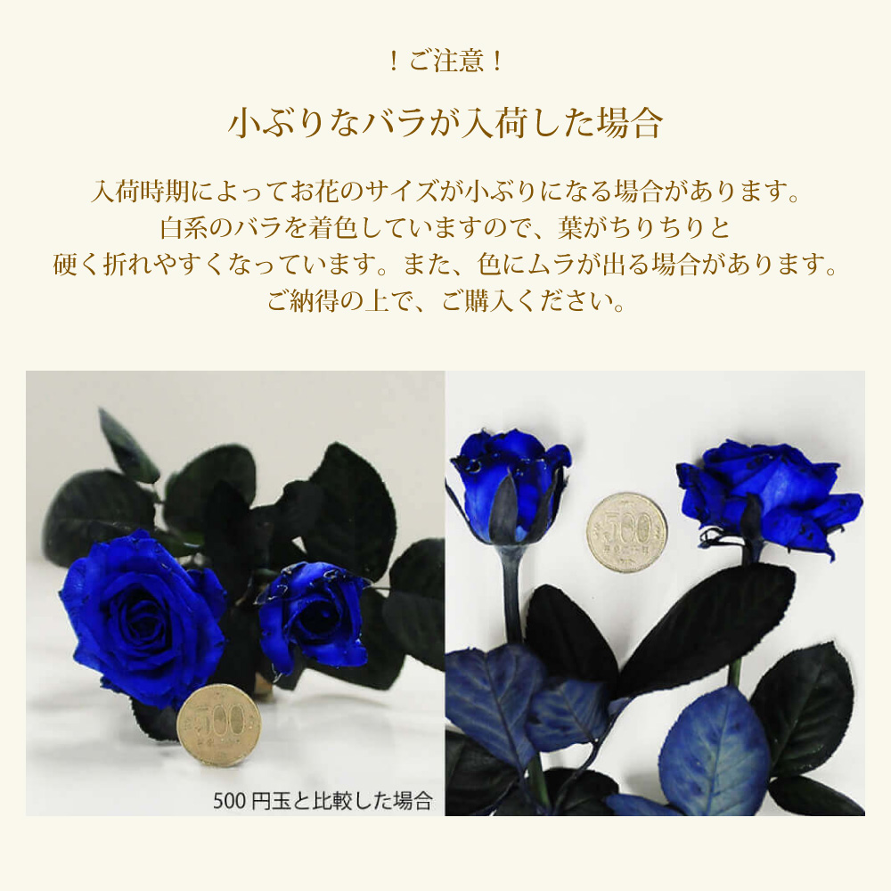 青バラ40本の花束