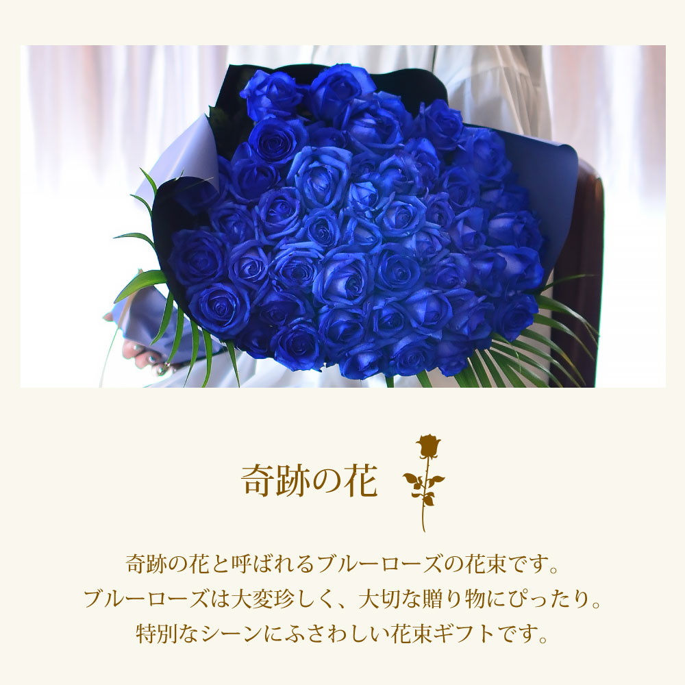 青バラ50本の花束