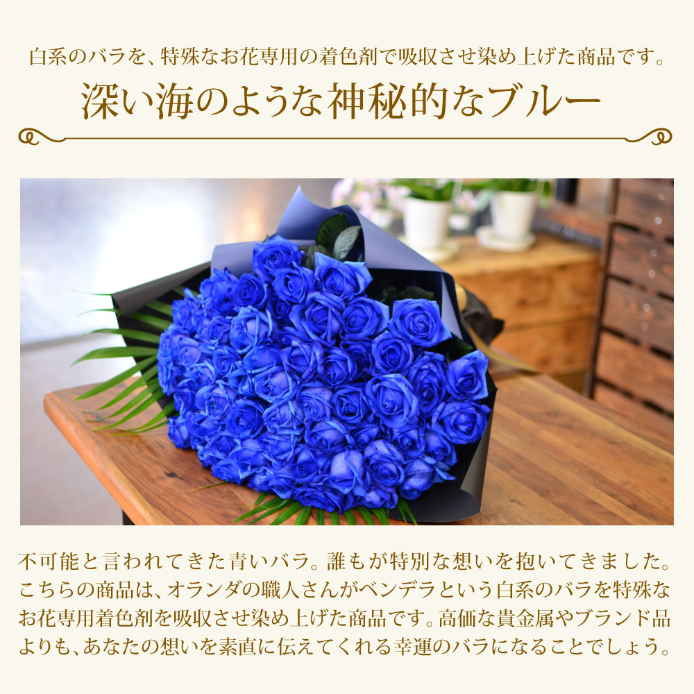 青バラ60本の花束