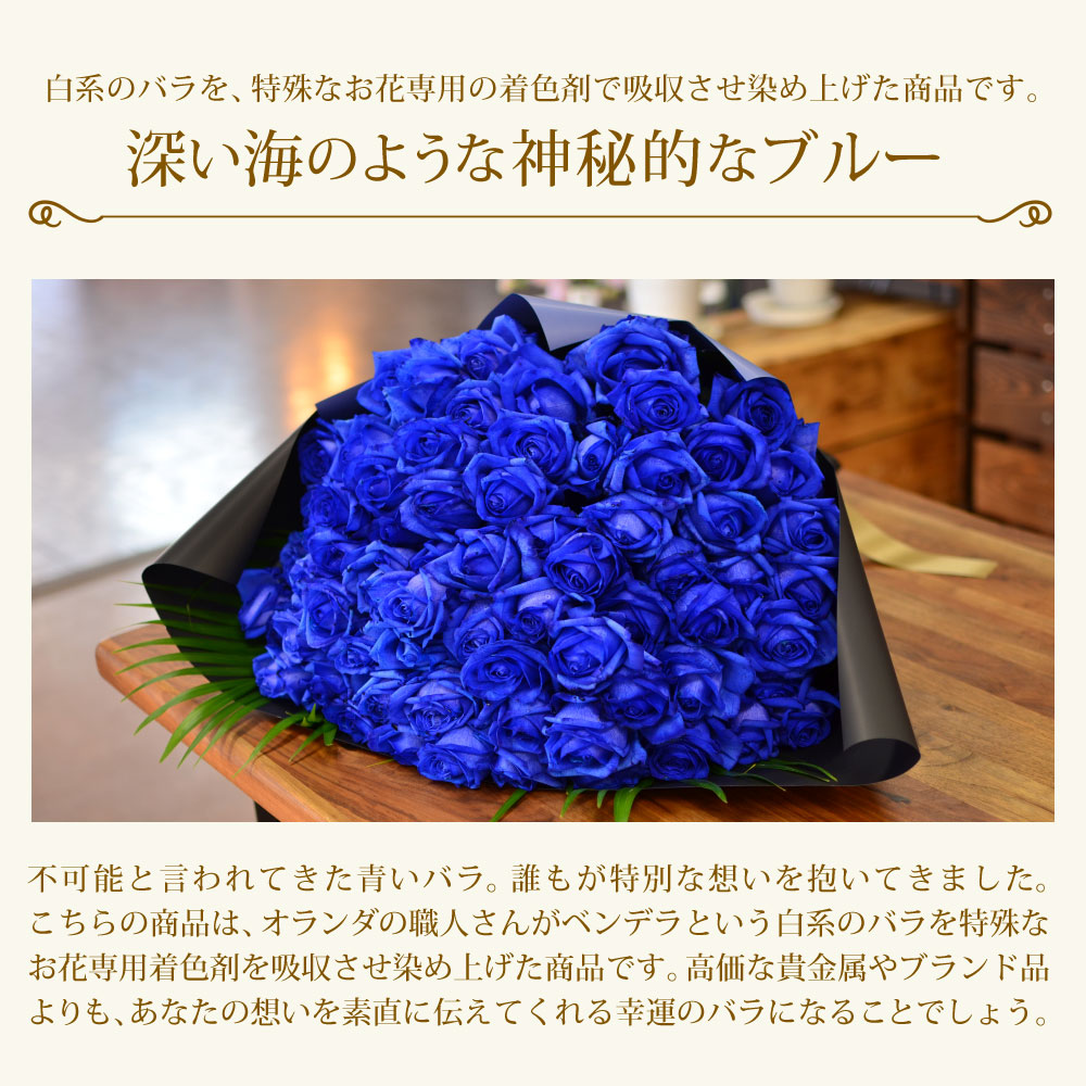 青バラ70本の花束