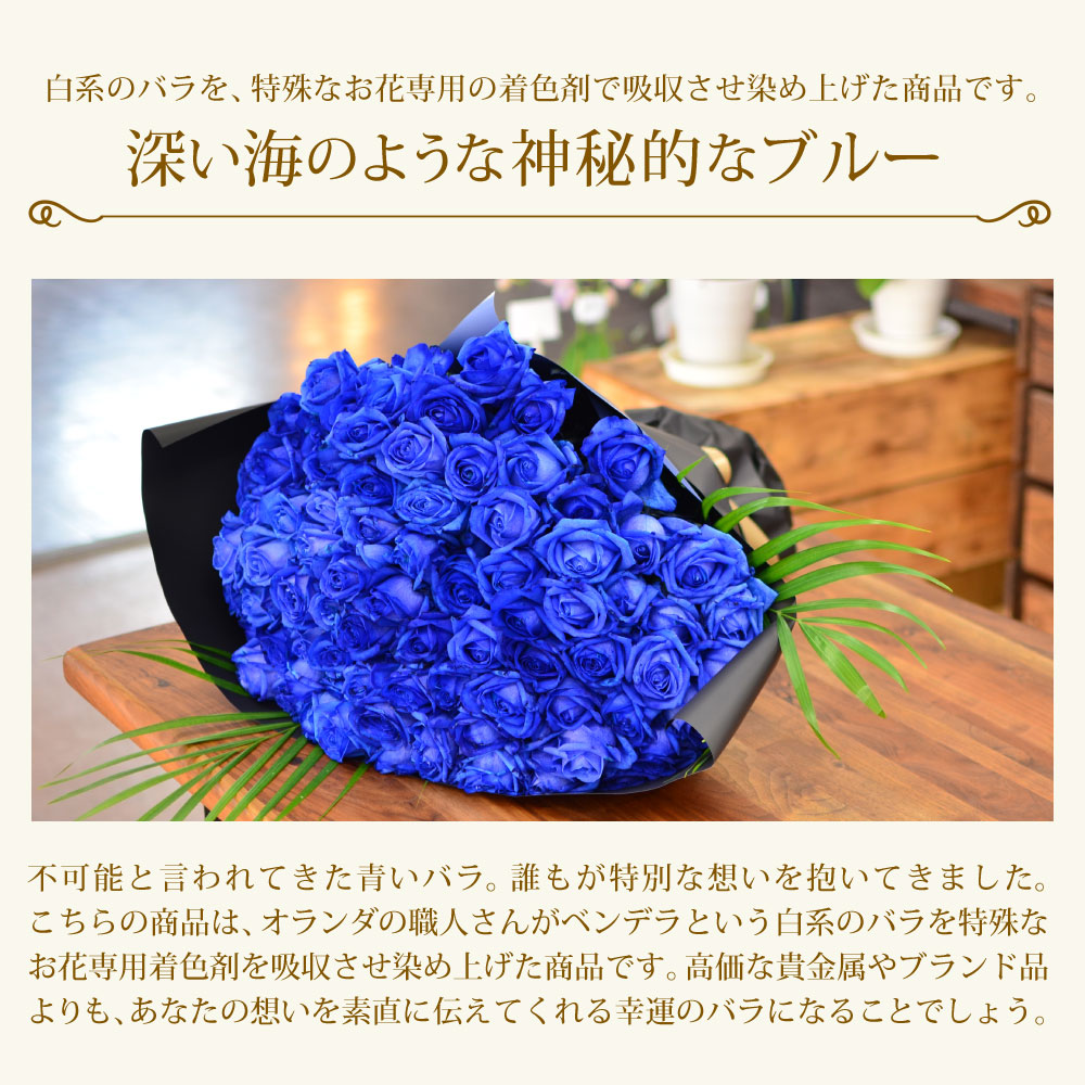 青バラ80本の花束