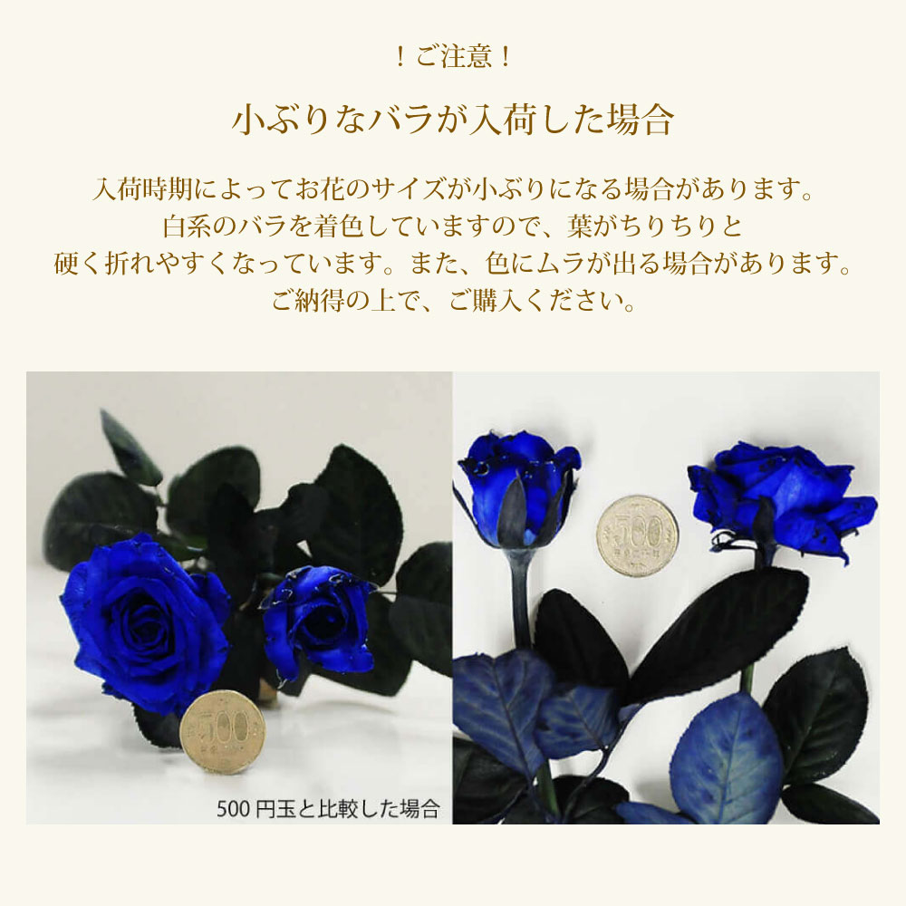 青いバラ本数指定の花束