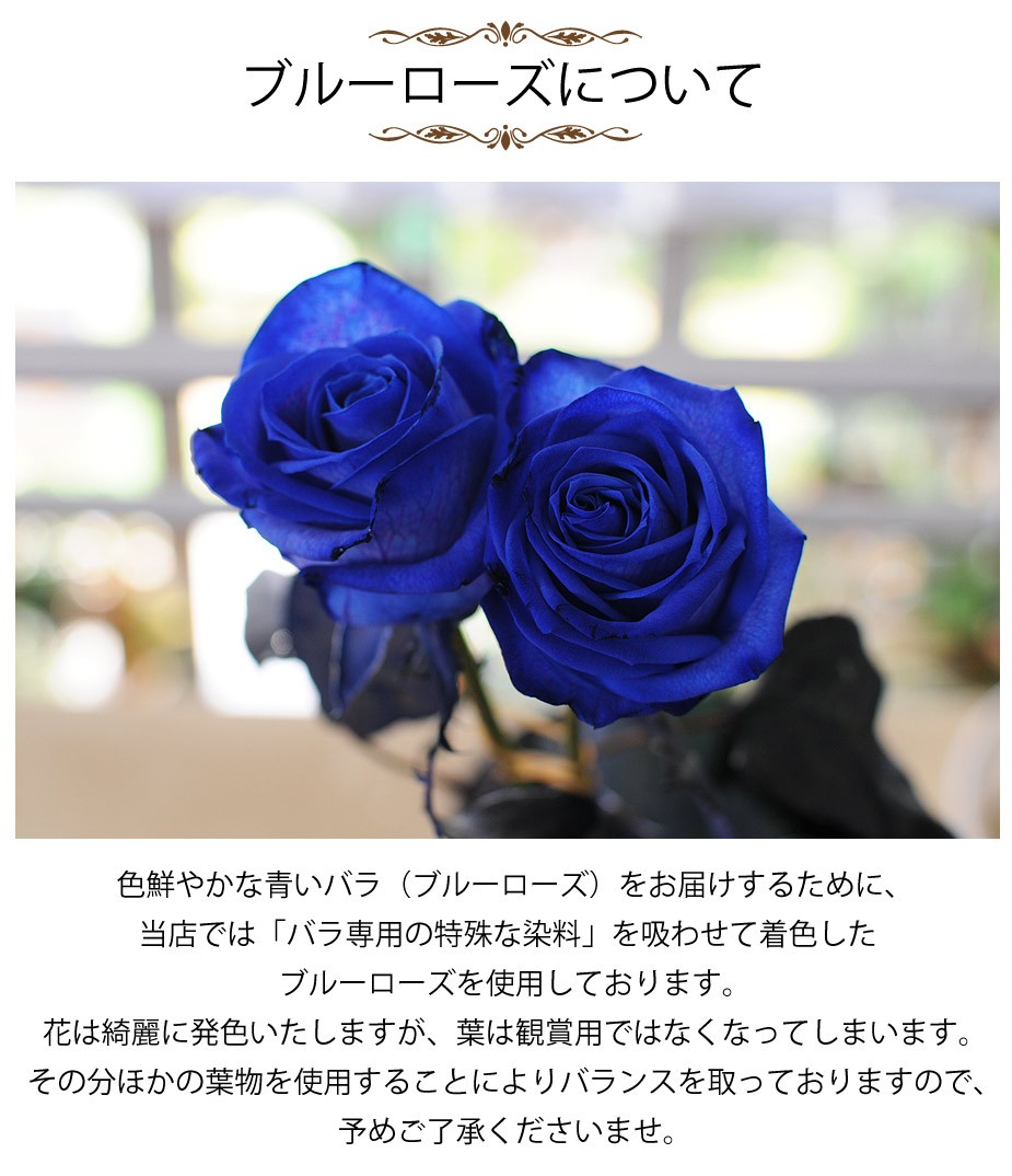 青いバラ45本の花束 花工房エーデルワイス