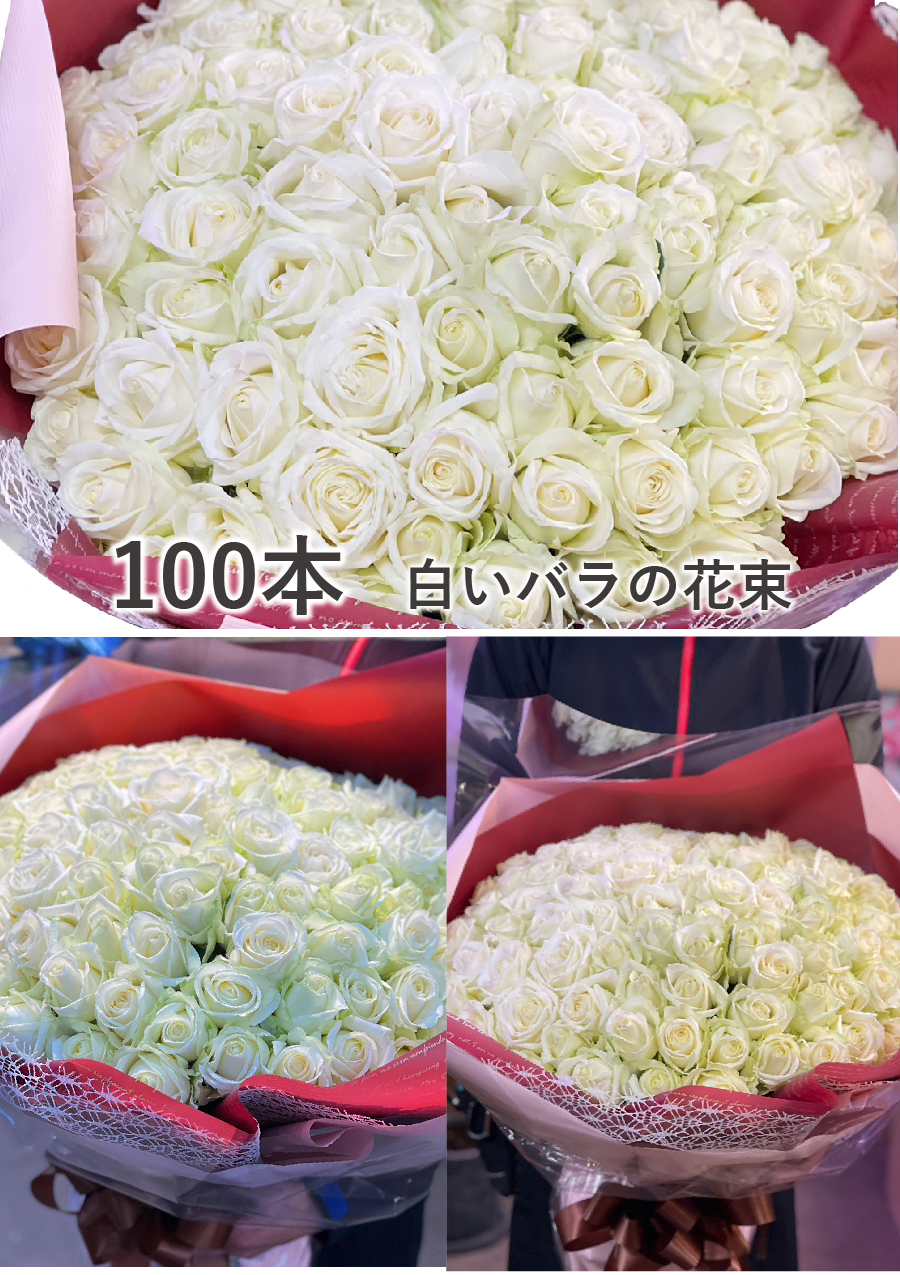 白いバラの花束 100本