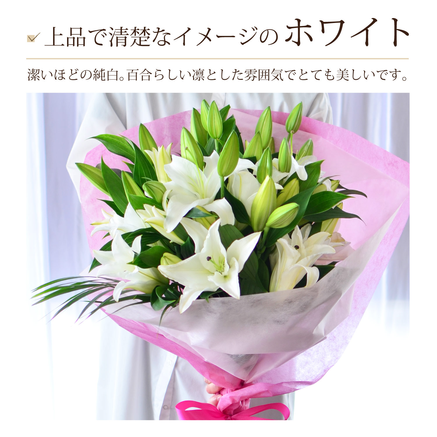 上品で清楚なイメージのホワイト