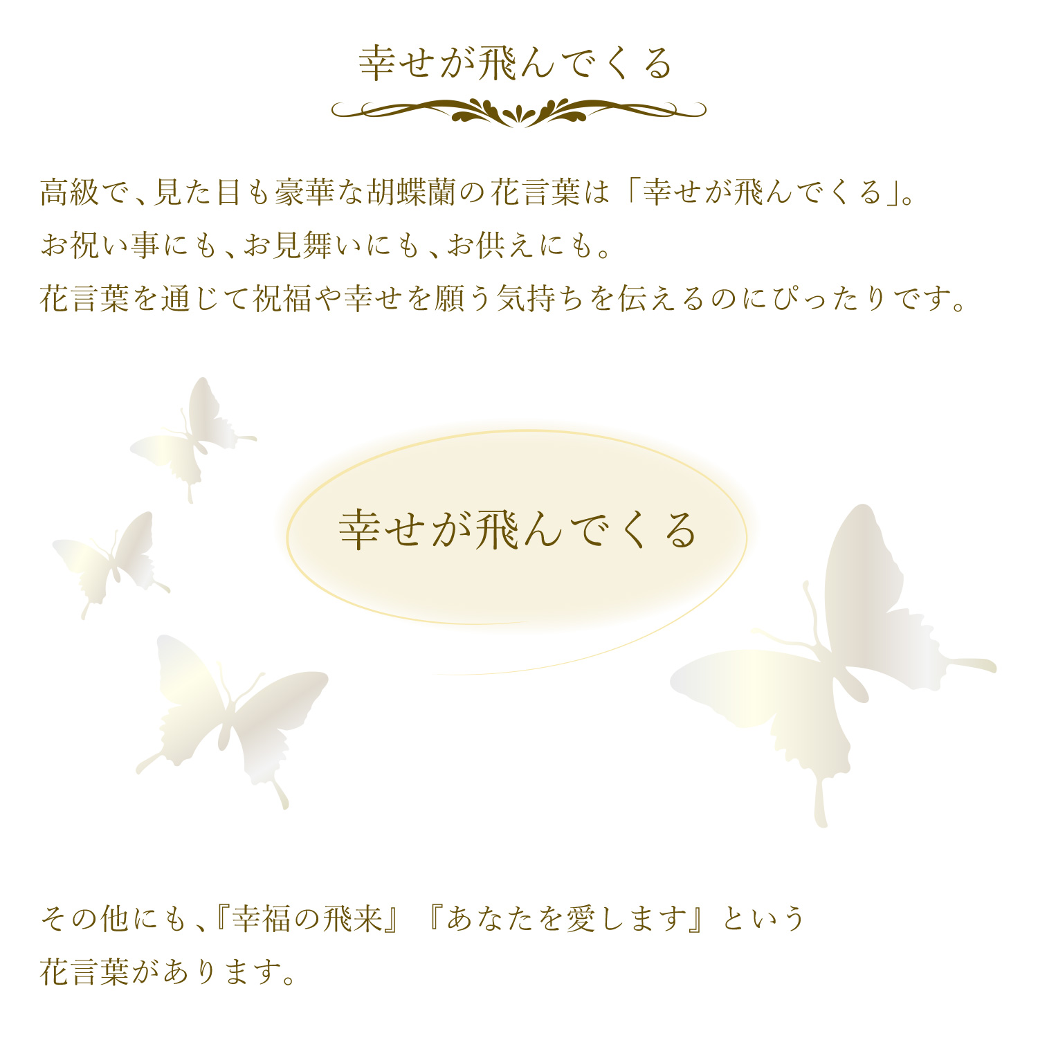 胡蝶蘭3本立35輪以上