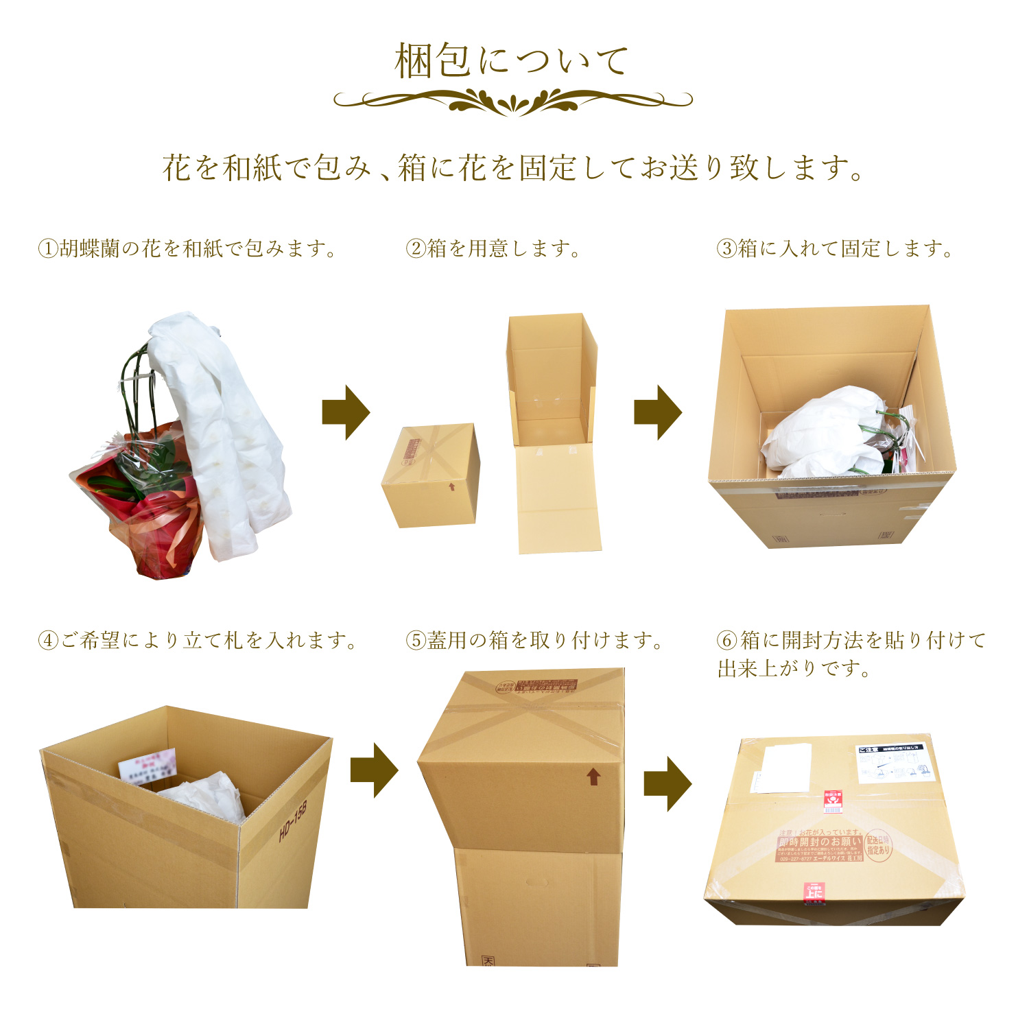 胡蝶蘭3本立35輪以上