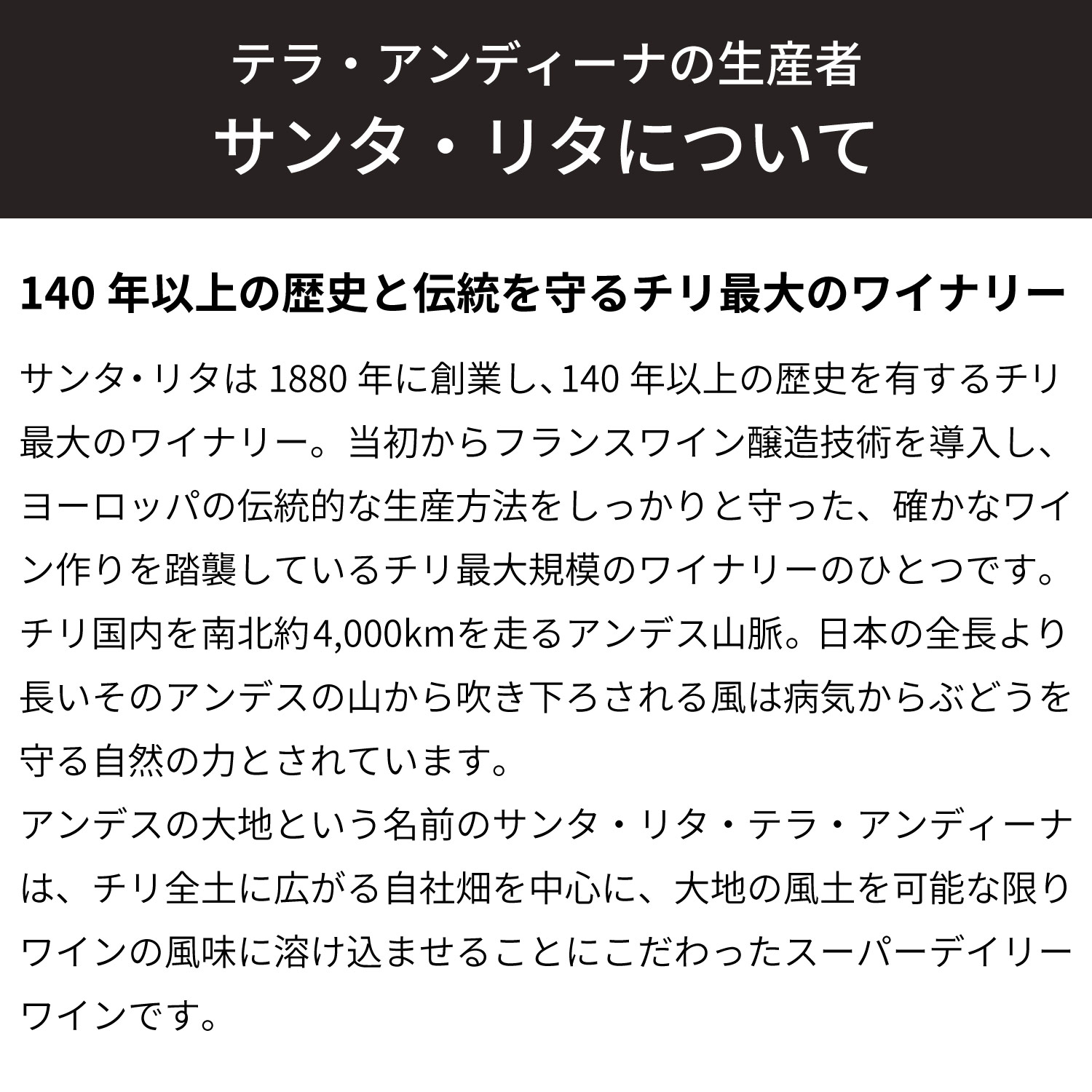 生産者 サンタ・リタについて