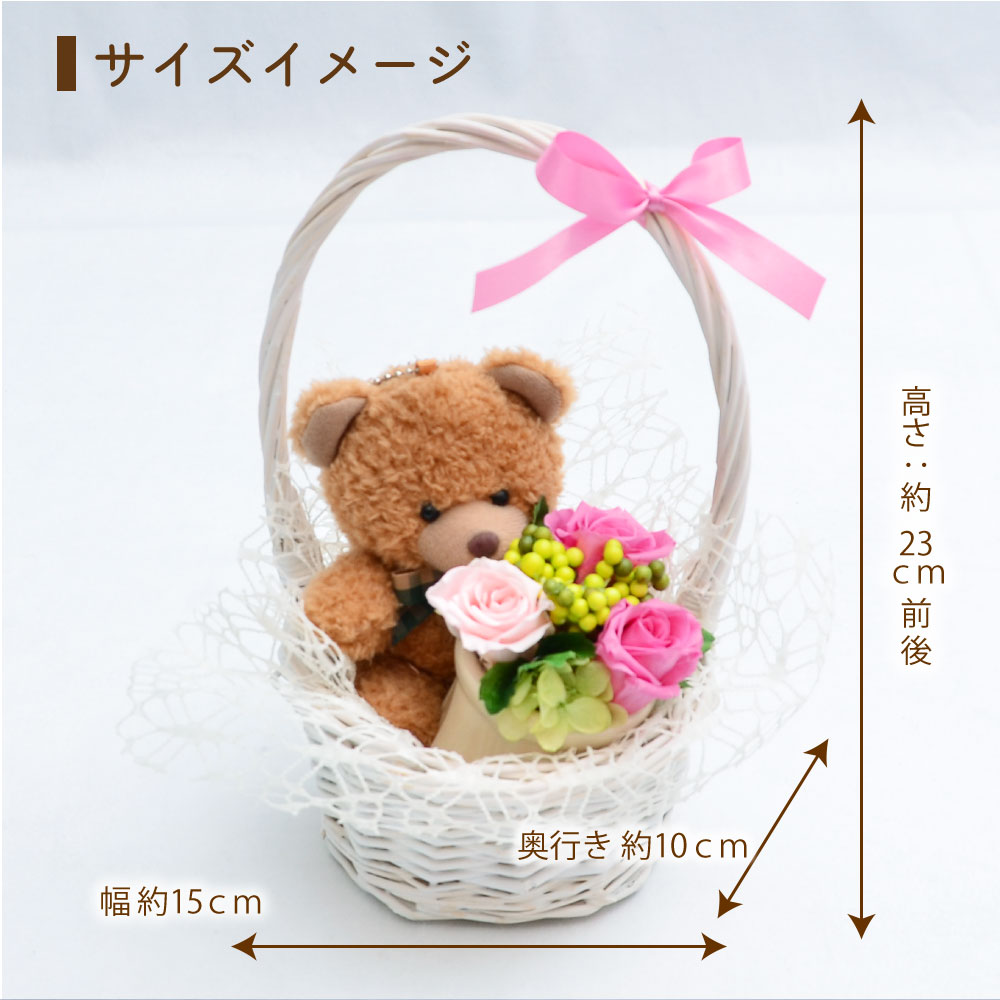 ラブリーベアー サイズイメージ