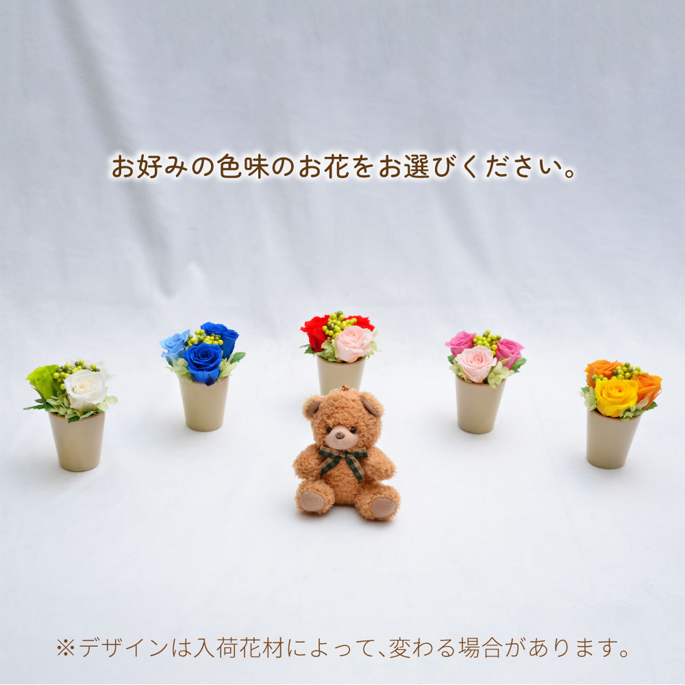 ラブリーベアー お好みの色味をお選びください