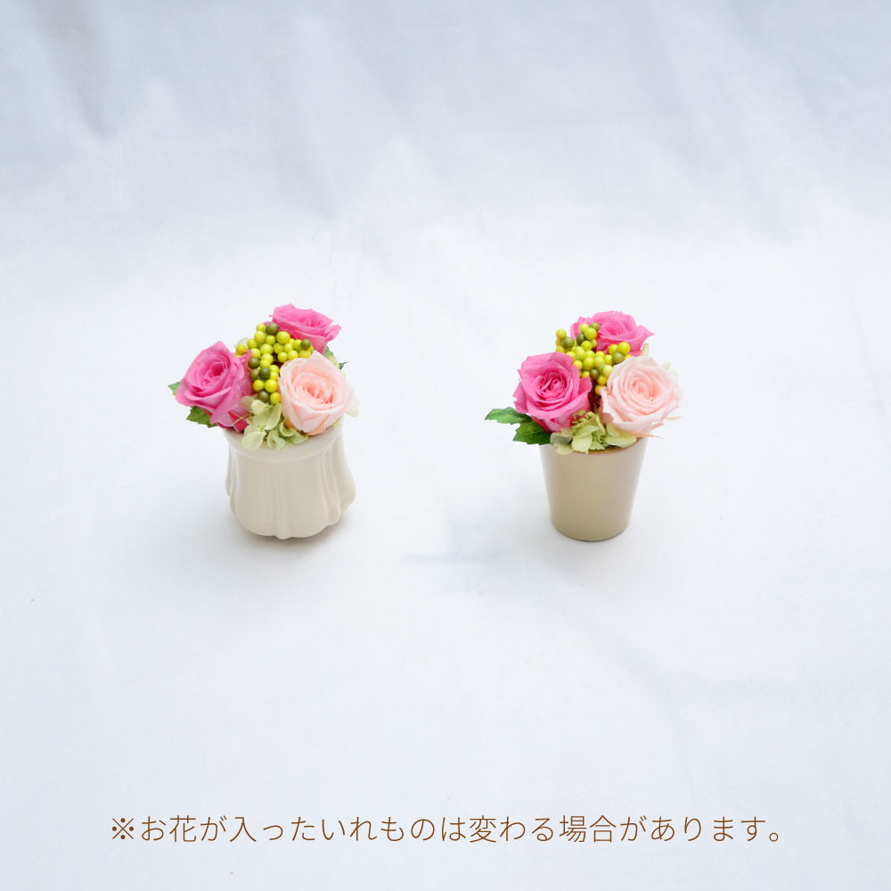 ラブリーベアー 入れ物は変わる可能性があります