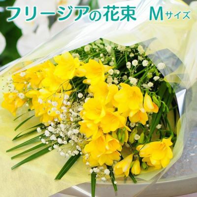 フリージアの花束 Mサイズ 花工房エーデルワイス