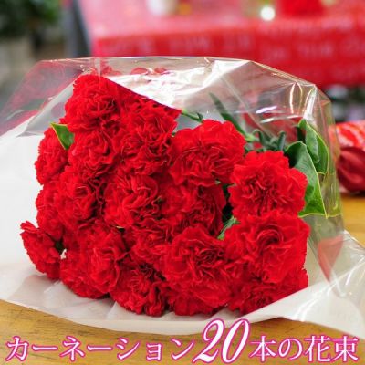 フラワーバレンタインに花束 誕生日プレゼント 赤いカーネーション本の花束 花工房エーデルワイス