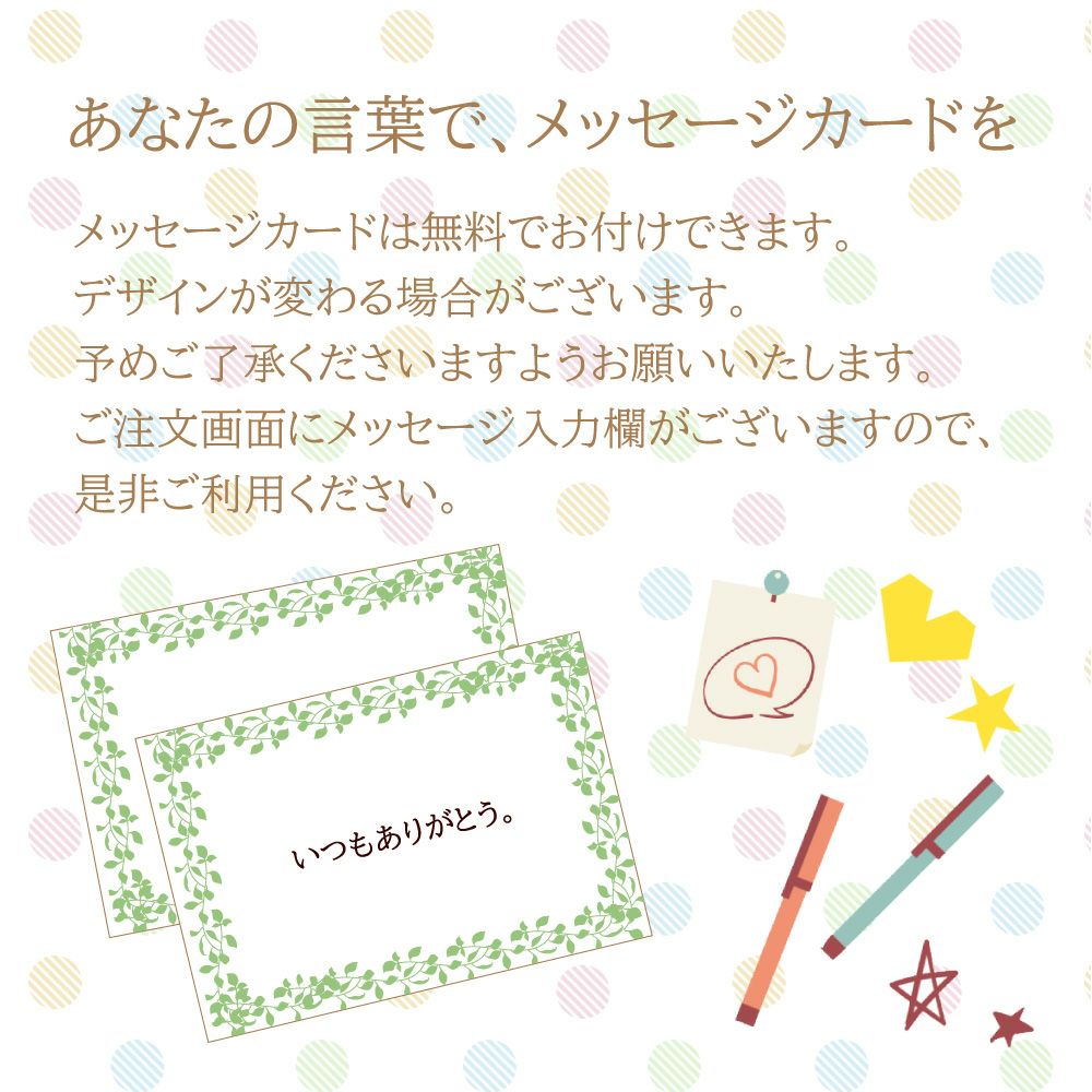 サマーシーズン Mサイズ