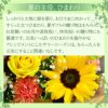  ひまわりを使ったアレンジメント アーリーサマー