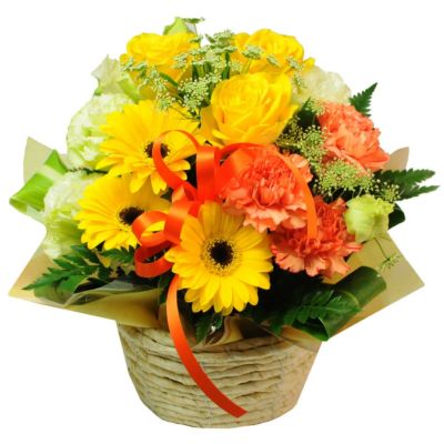 退院祝いに贈るお祝いの花 花ギフトを贈るなら 花宅配のエーデルワイス