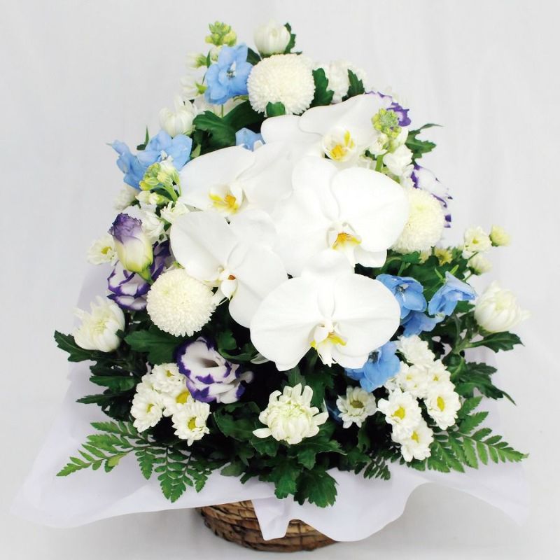 新鮮な蘭(らん)を使って作成するお供えのお花
  
  蘭のお供えアレンジメントMサイズ