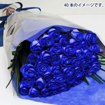000000000139-01-m.jpg?t=