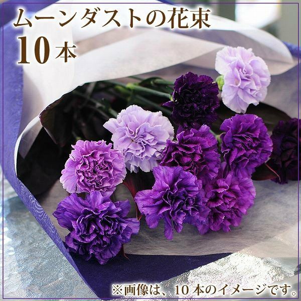 他にはない当店唯一の青いカーネーション
  
  ムーンダスト10本の花束
