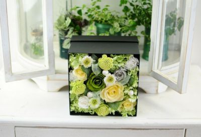 翌日宅配「あす着」のお花 | 花工房エーデルワイス
