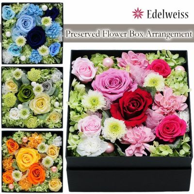 プリザーブドフラワーアレンジメント プリザーブドフラワー・ロングボックスアレンジメント 003 | すべての