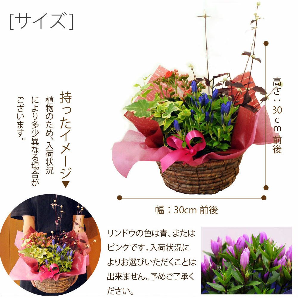 敬老の日 寄せ鉢ミックス