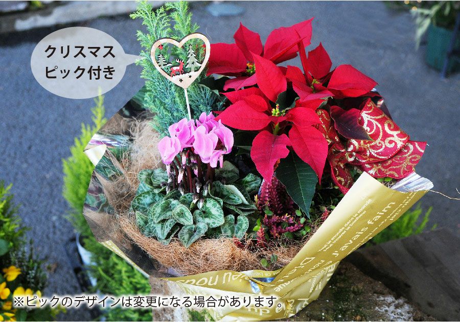 クリスマス寄せ鉢ミックス