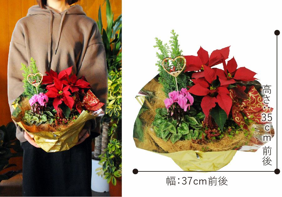 クリスマス寄せ鉢ミックス