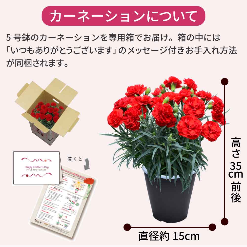 個体差があります