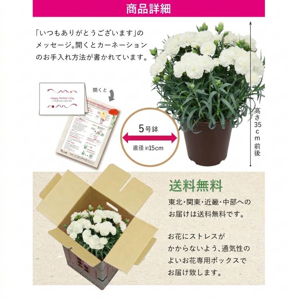 サイズ