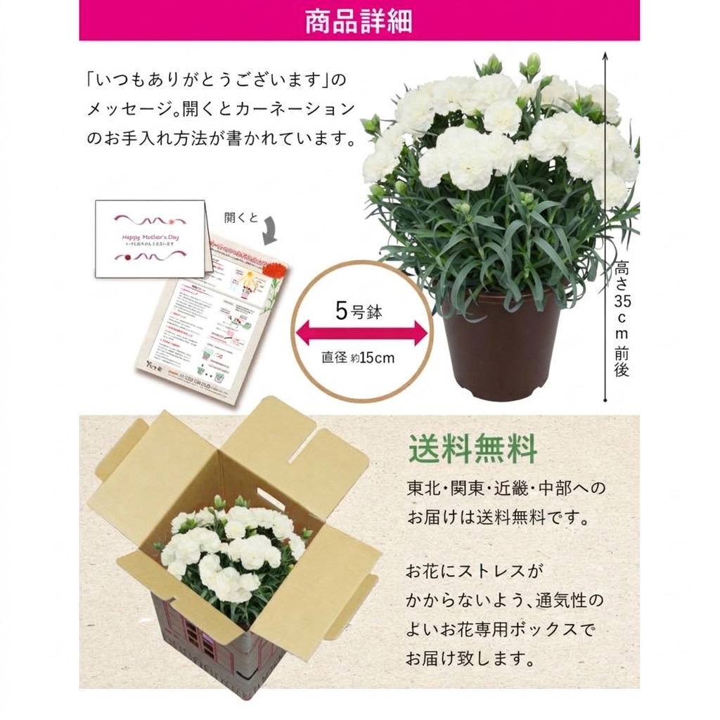 お届け期間