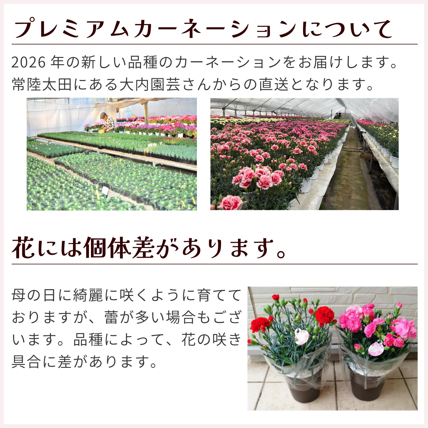 産地直送