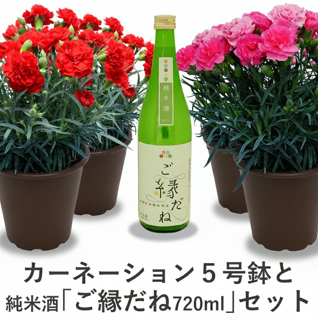 日本酒『ご縁だね』とカーネーションの鉢セット