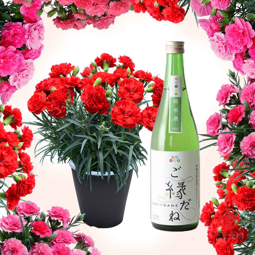 日本酒『ご縁だね』とカーネーションの鉢セット